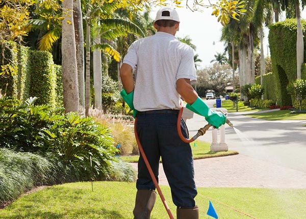 About Mellwood AR Pest Control Pros